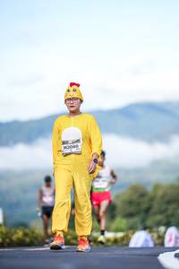 BIB: 
                            <button type="button" onclick="openModal(26542644)" class="btn btn-primary btn-sm float-right btn-popup" data-toggle="modal" data-target=".modal-high-quality">
                        <i class="fas fa-shopping-cart"></i> Add to Cart
                    </button>
                                            <button type="button" onclick="isThisMe(26542644, true)" class="btn btn-success btn-sm float-right btn-popup btn-isme hidden" data-toggle="tooltip" data-placement="bottom" title="นี่คือรูปของคุณใช่ไหม คลิกที่นี่เพื่อเอาเข้าอัลบั้ม">
                        <i class="fas fa-plus"></i> Add to album
                    </button>
                    <button type="button" onclick="isThisMe(26542644, false)" class="btn btn-warning btn-sm float-right btn-popup btn-isnotme hidden">
                        <i class="fas fa-ban"></i> Remove from album
                    </button>